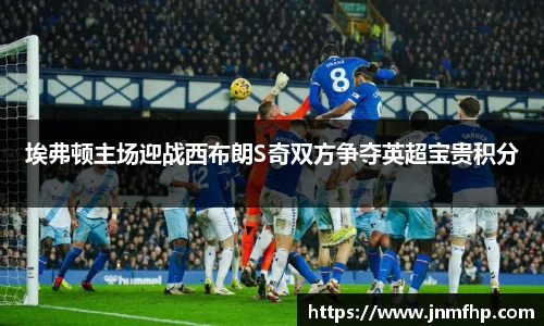 埃弗顿主场迎战西布朗S奇双方争夺英超宝贵积分