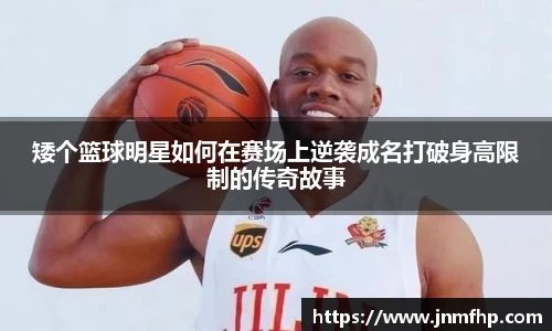 美嘉体育官网
